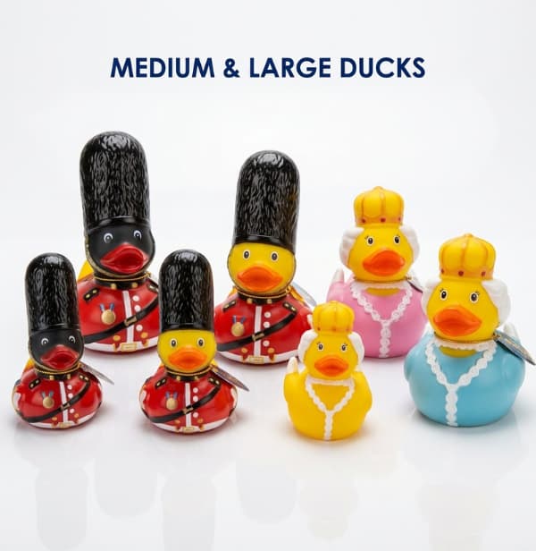 Your paragraph text (3) (1) Medium & Large Ducks - Image 1